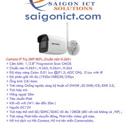 DS-2CD2021G1-IDW1