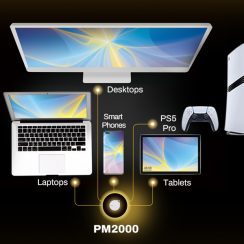 Ổ Cứng SSD Di động BIWIN PM2000 1000Gb
