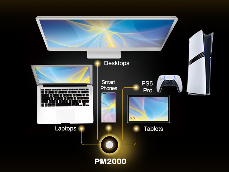 2-biwin-pm2000-external-ssd-with-convenient-file-stored-design-for-a-wide-range-of-devices Ổ Cứng SSD Di động BIWIN PM2000 1000Gb