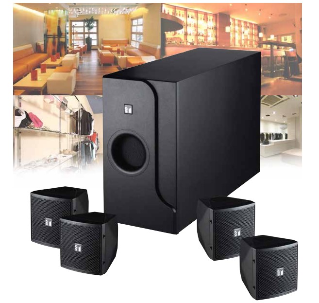Hệ Loa vệ tinh Toa BS-301_5 Hệ Loa vệ tinh Toa BS-301