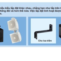 Hệ Loa vệ tinh Toa BS-301