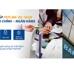 Cân bằng tải Peplink SDX Pro