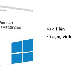 Windows Server Standard 2019 64bit OEI-DVD
