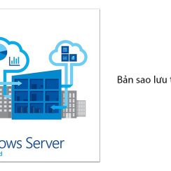 Windows Server Standard 2019 64bit OEI-DVD