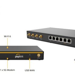 Router WiFi Peplink B One 5G
