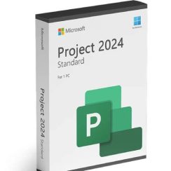 Phần mềm Microsoft Project standard 2024