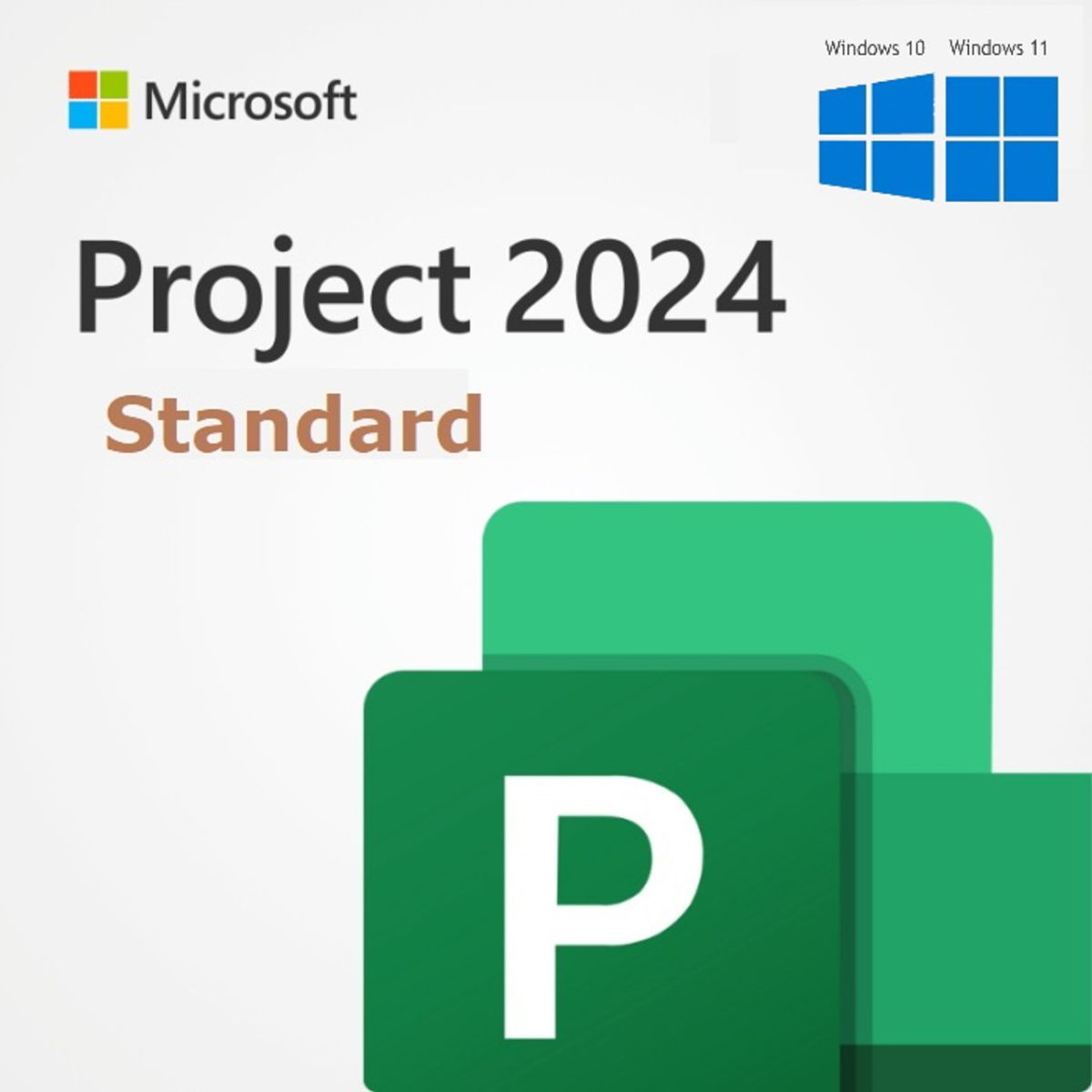 Phần mềm Microsoft Project standard 2024_4 Phần mềm Microsoft Project standard 2024