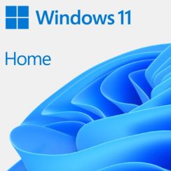 Phần mềm Windows Home 11 64Bit Engl Intl 1pk DSP OEI DVD