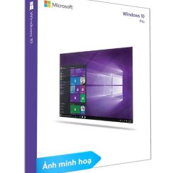 Phần mềm Windows Pro 10