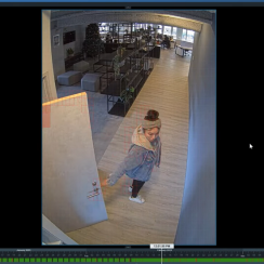 Phần mềm Nx Witness VMS AI